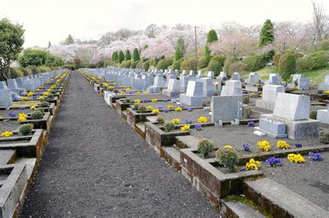 墓 植物|お墓周りにお花や木を植えてもいい？おすすめの木や花5つ。